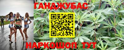 тгк Новодвинск