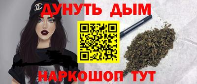 тгк Новодвинск