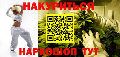 тгк Новодвинск