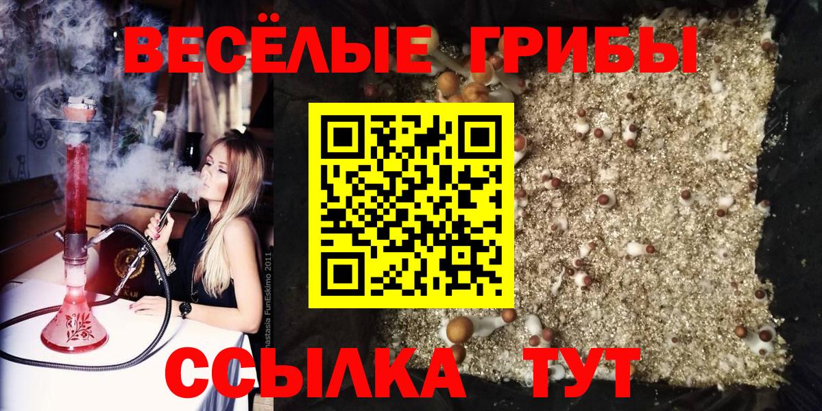 Псилоцибиновые грибы ЛСД Подольск